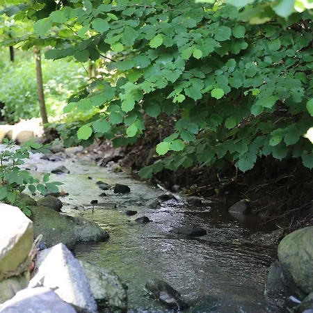 Moritz Garni Hotel Oberahr